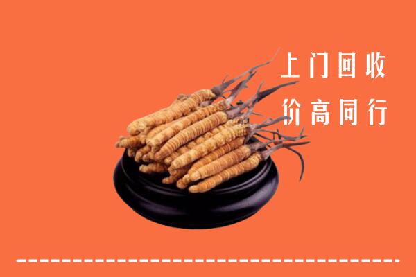 高价求购：湘东区回收散虫草