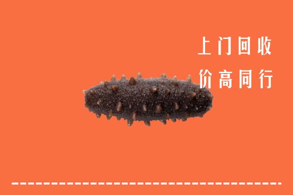 高价求购：湘东区回收海参