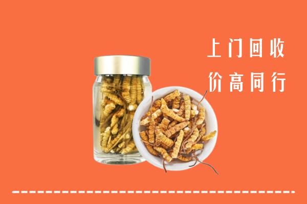 湘东区回收冬虫夏草