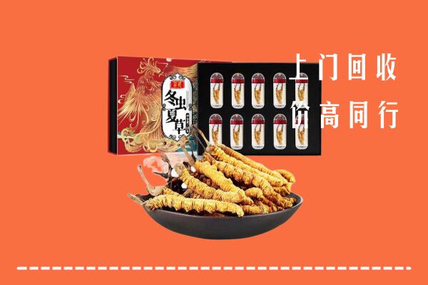 湘东区回收虫草